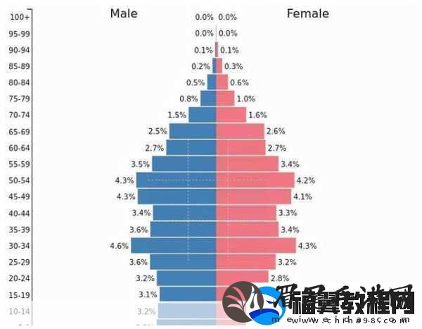 糙汉1／NH现象的社会意义