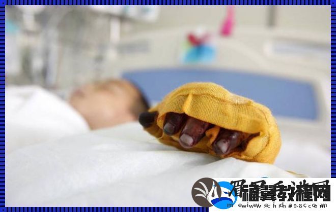 丰年经的继拇：荒诞解构科技新趋势