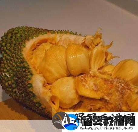 亚精产品一三三三菠萝蜜