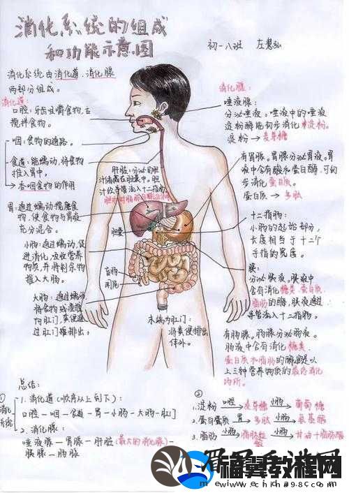 一体-7-交是哪-5-个地方：探寻其奥秘