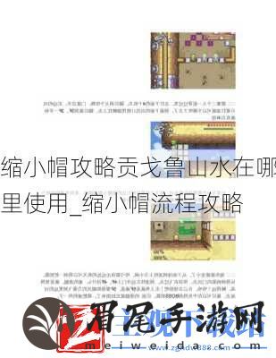 缩小帽攻略贡戈鲁山水在哪里使用