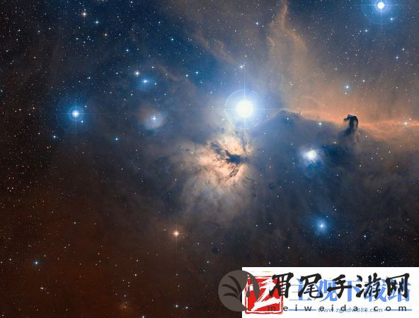 绿巨人樱桃荔枝青青草的具体功效揭示与使用指南