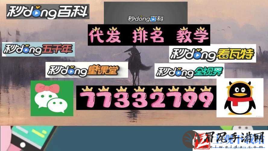 B站大全永不收费2024涵盖各类视频资源的在线平台