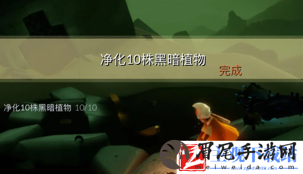 光遇每日任务怎么做2024.9.29