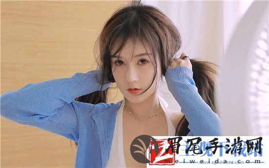 成免费crm播放模式的特点