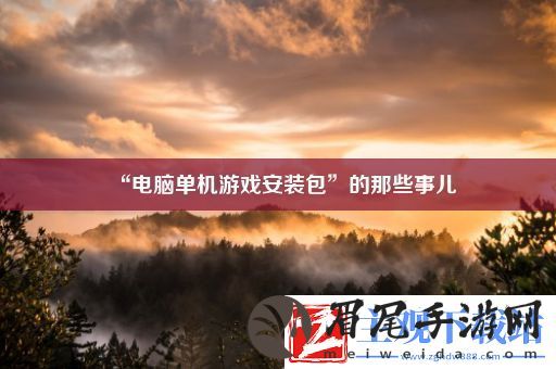 “电脑单机游戏安装包”的那些事儿
