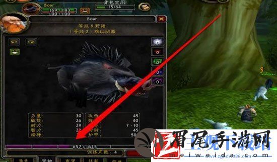 魔兽世界猎人60级带低级宝宝怎么升级