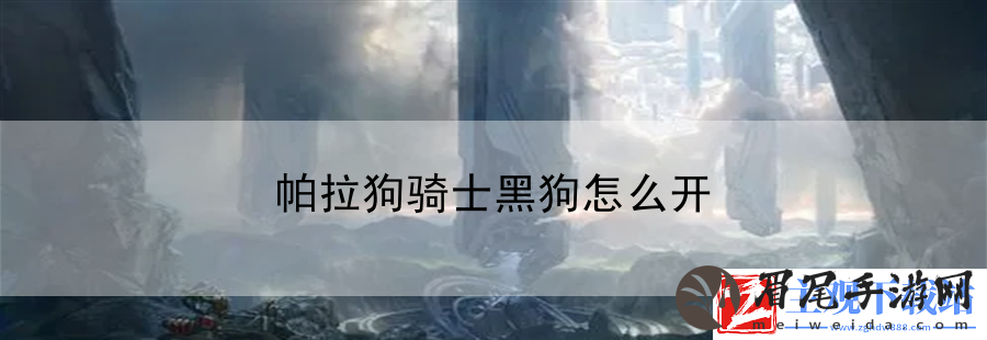 帕拉狗骑士黑狗怎么开