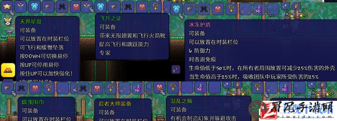 泰拉瑞亚战士毕业饰品是什么