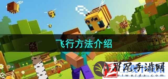 我的世界怎么飞行-飞行方法介绍