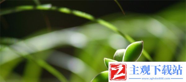 国产尺码和欧洲尺码表2022：最新尺码对照指南