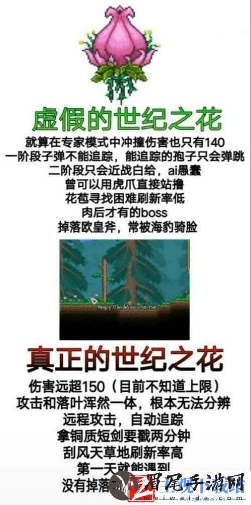 专家模式泰拉瑞亚等你来作死