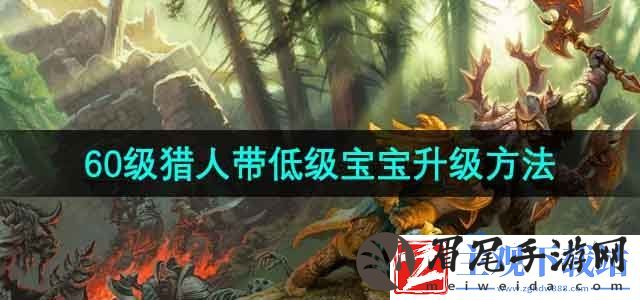 魔兽世界猎人60级带低级宝宝怎么升级-60级猎人带低级宝宝升级方法