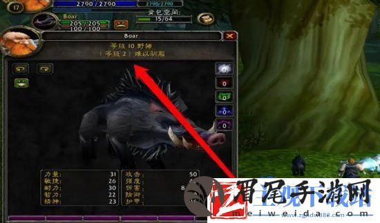 魔兽世界猎人60级带低级宝宝怎么升级