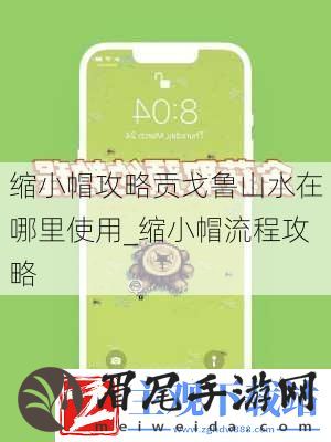缩小帽攻略贡戈鲁山水在哪里使用