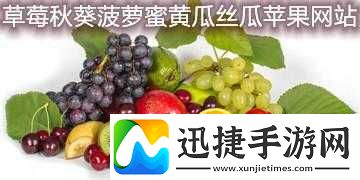 向日葵草莓秋葵黄瓜荔枝丝瓜：蔬果大集合