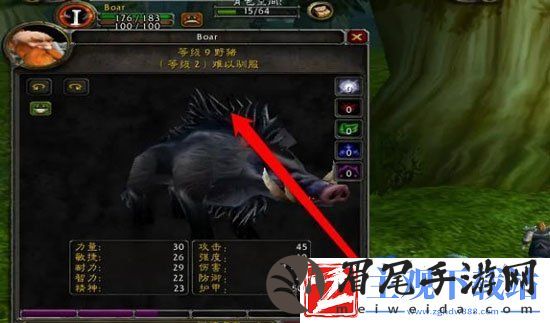 魔兽世界猎人60级带低级宝宝怎么升级