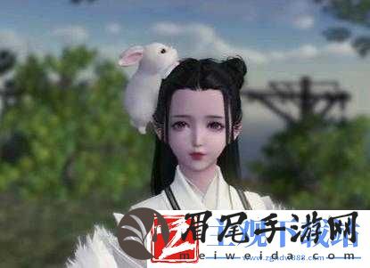 天刀手游失踪白兔奇遇攻略