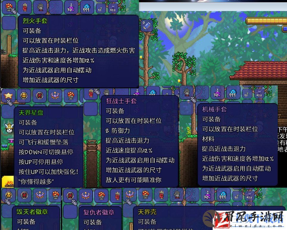 泰拉瑞亚战士毕业饰品是什么