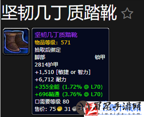 魔兽世界惊魂聚合体掉落什么