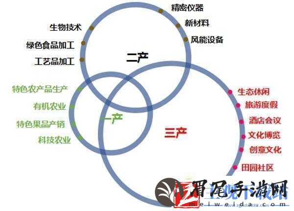 麻花豆精产三产区区别之分析对比