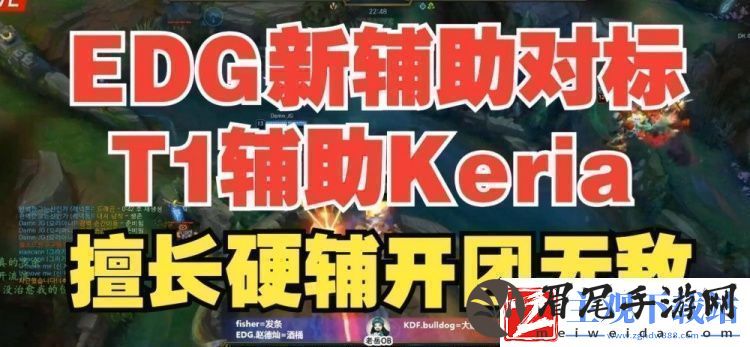 EDG新辅助的更多信息