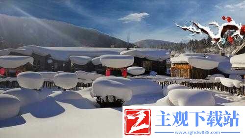 继续播放丰年：相关视频推荐