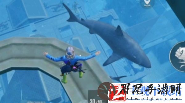 和平精英怎么狙击鲨鱼和平精英狙击鲨鱼攻略