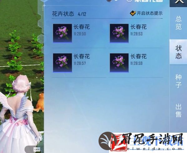 和平精英花圃种子在哪买