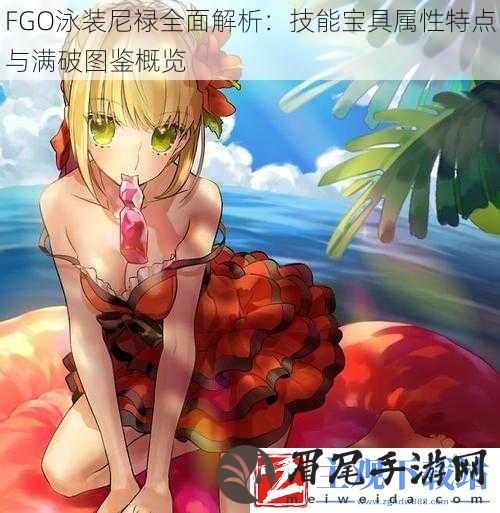 FGO泳装尼禄全面解析：技能宝具属性特点与满破图鉴概览