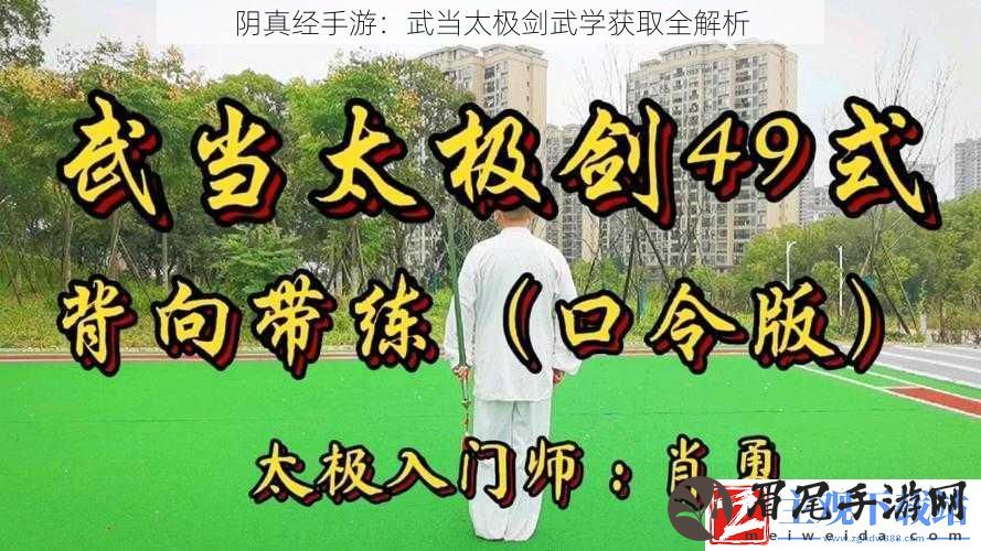 阴真经手游