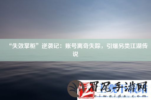 “失效掌柜”逆袭记：账号离奇失踪-引爆另类江湖传说