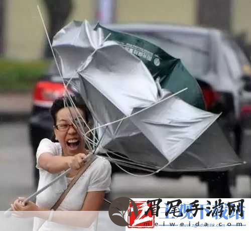 暴雨来袭！☔️