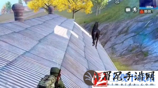 和平精英怎么狙击鲨鱼和平精英狙击鲨鱼攻略
