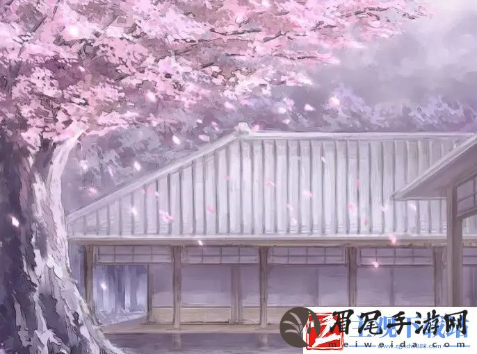 YSL口红水蜜桃色号的优雅与魅力探秘