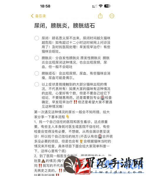 诡秘膀胱