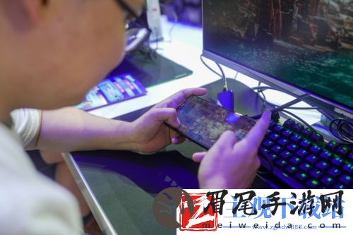 喜获版号！剑侠世界