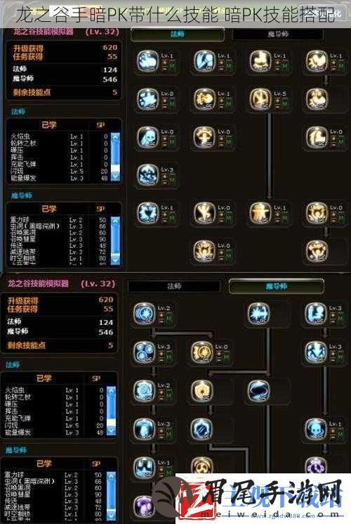 龙之谷手暗PK带什么技能