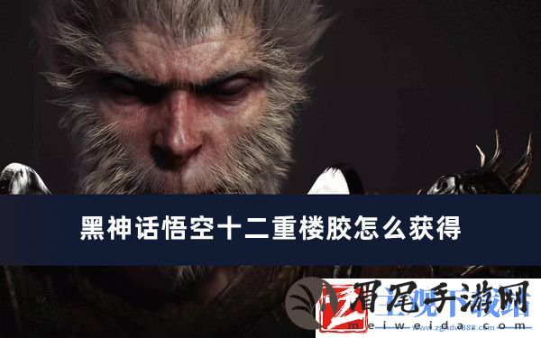 黑神话悟空十二重楼胶怎么获得