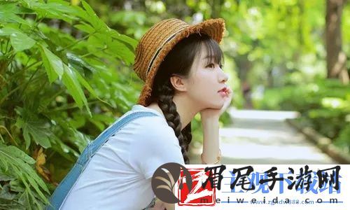 wordpress成品网站yunbuluo：功能特色、建站教程及SEO优化指南-轻松打造高效个性化网站!