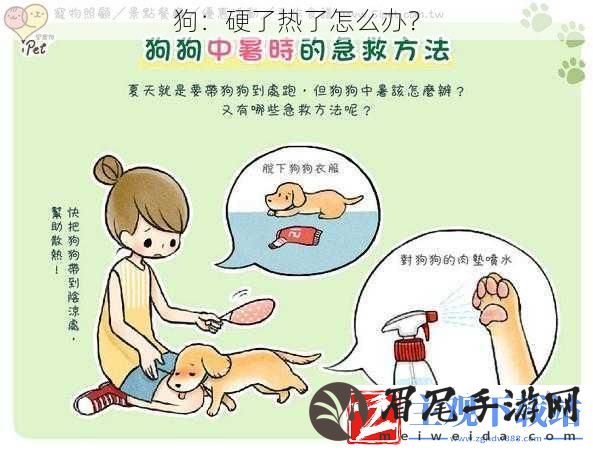 狗