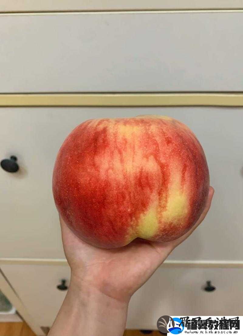 巨无霸水蜜桃