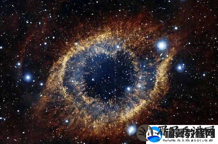 探索人类生存边界：致命与非致命武器的深度对比分析