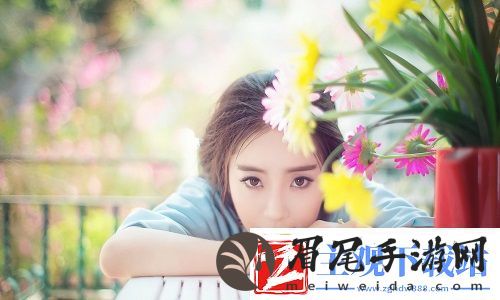 免费开放的api大全电影有哪些