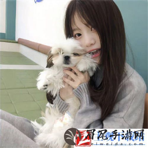 最好的观看2018中文：情节紧凑，演员演技在线，全程无尿点！