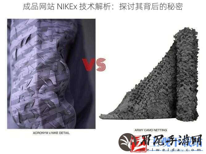 成品站-NIKEx-技术解析：探讨其背后的秘密