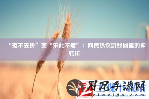 “拒不妥协”变“乐此不疲”