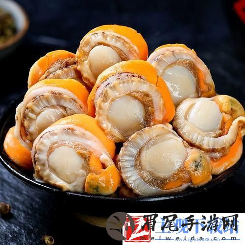 扇贝肉：掀起科技行业的创新浪潮