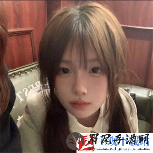 欧美mv和日韩mv的区别动漫：深入剖析各自的创意与视觉特色，揭秘两种文化的独特视角与表现形式！
