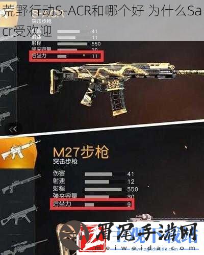 荒野行动S-ACR和哪个好-为什么Sacr受欢迎